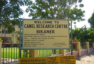 Bikaner Camel Research Centre